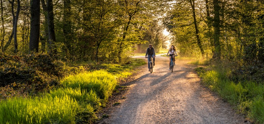 Man och kvinna cyklar på skogsväg Foto: Mostphotos